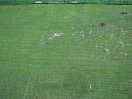 Hřiště TJ Chrustenice 28.8.10 (2)